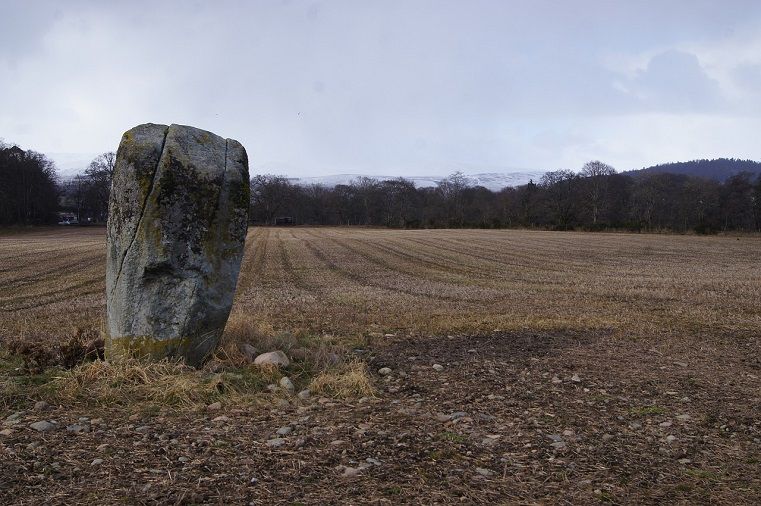 Памятник пиктской культуры V-VI веков нашли в Шотландии